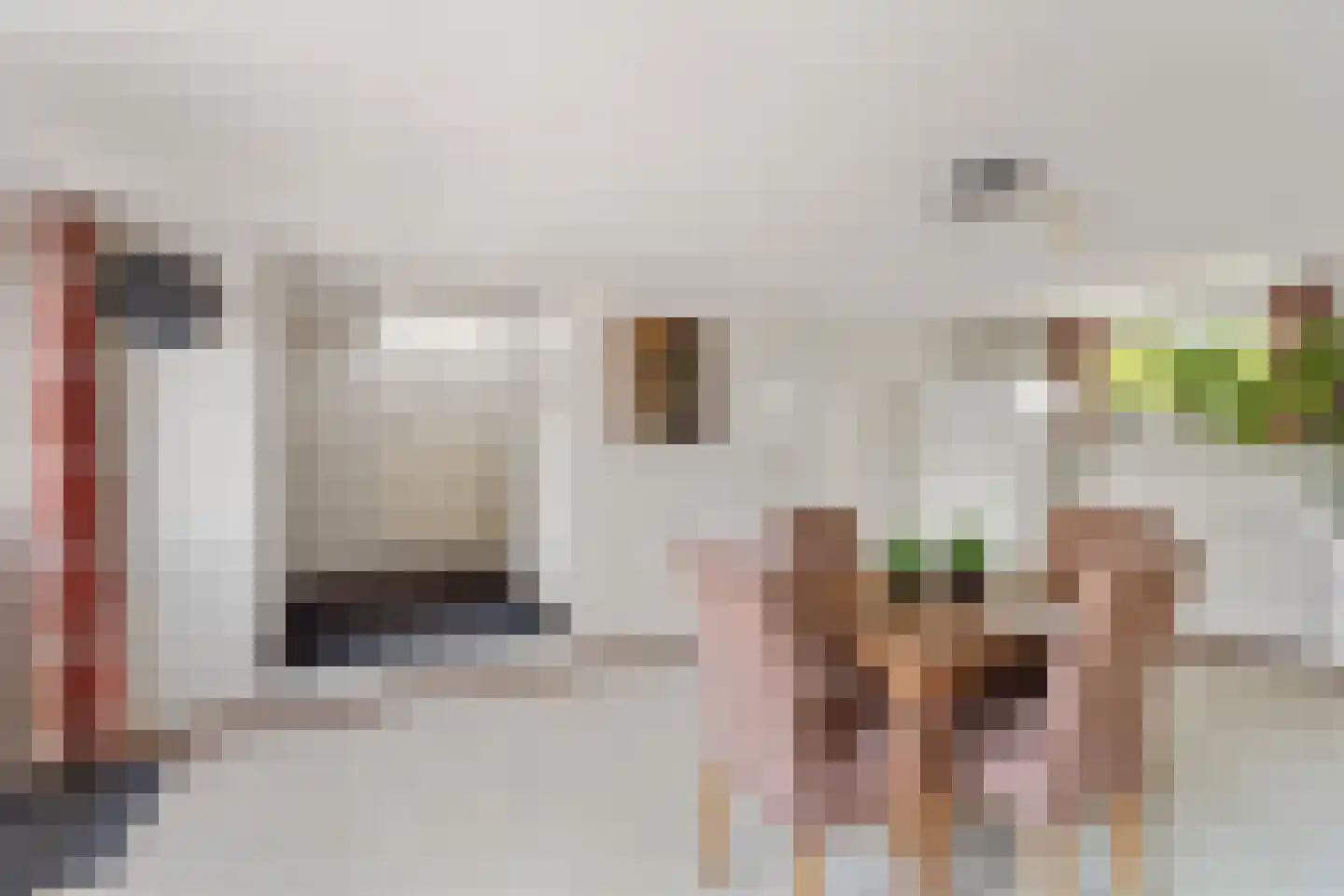 Plaksestraat 5 a Duiven thumbnail 29