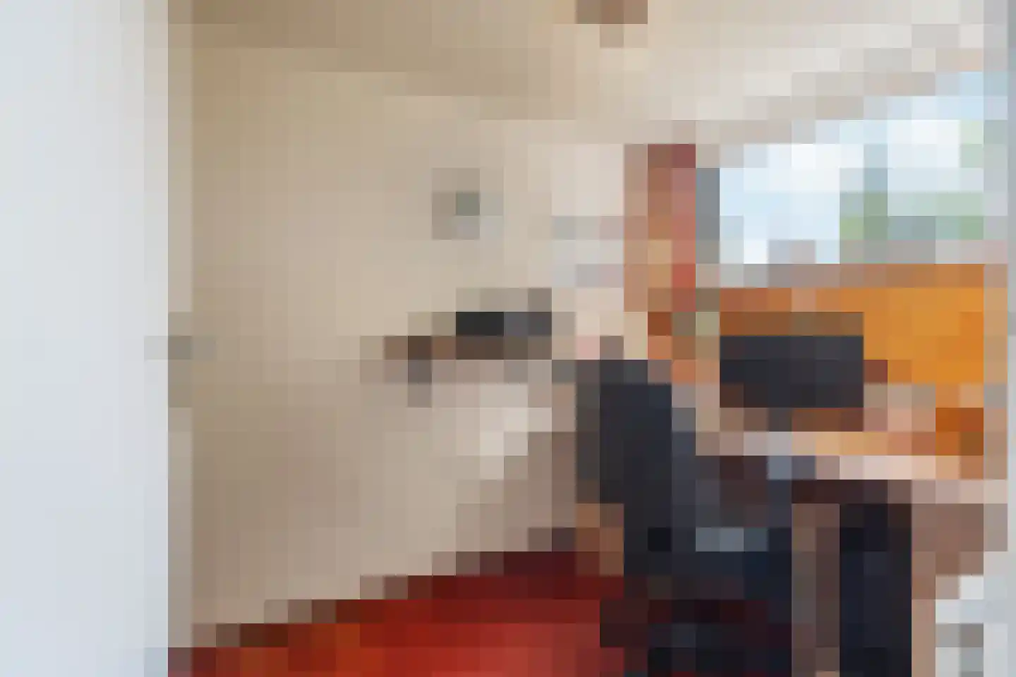 Plaksestraat 5 a Duiven thumbnail 30