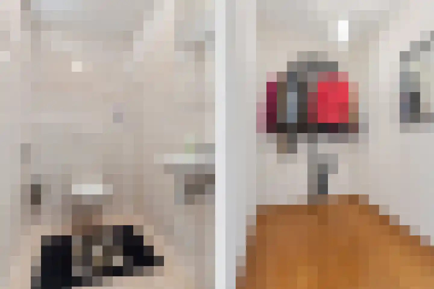 Plaksestraat 5 a Duiven thumbnail 32