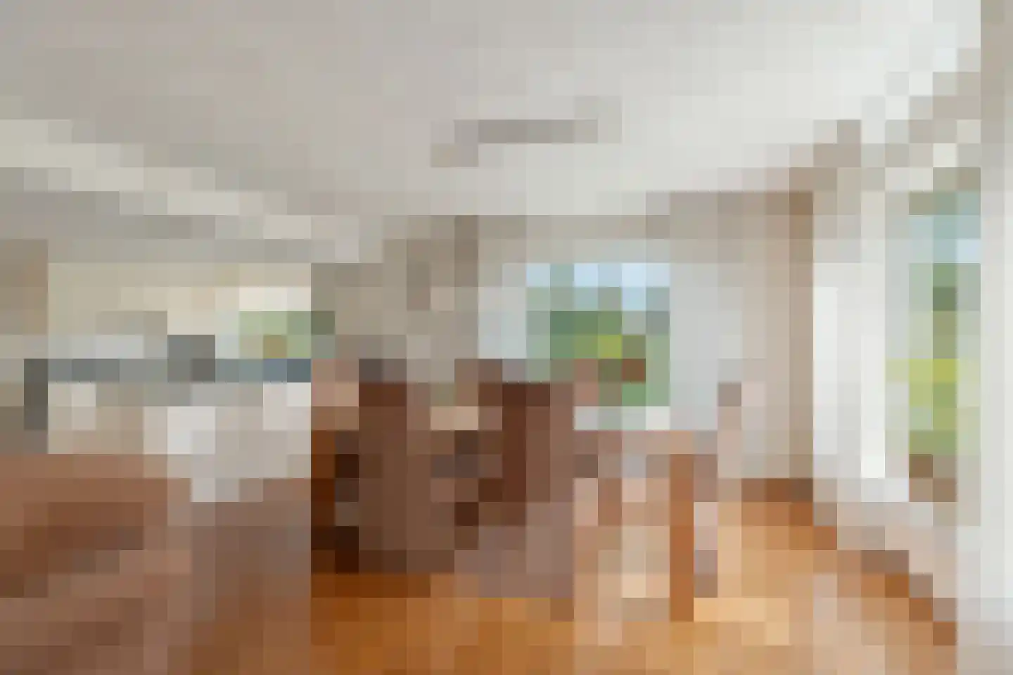 Plaksestraat 5 a Duiven thumbnail 4