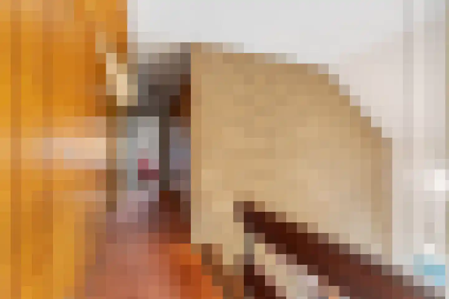 Plaksestraat 5 a Duiven thumbnail 44