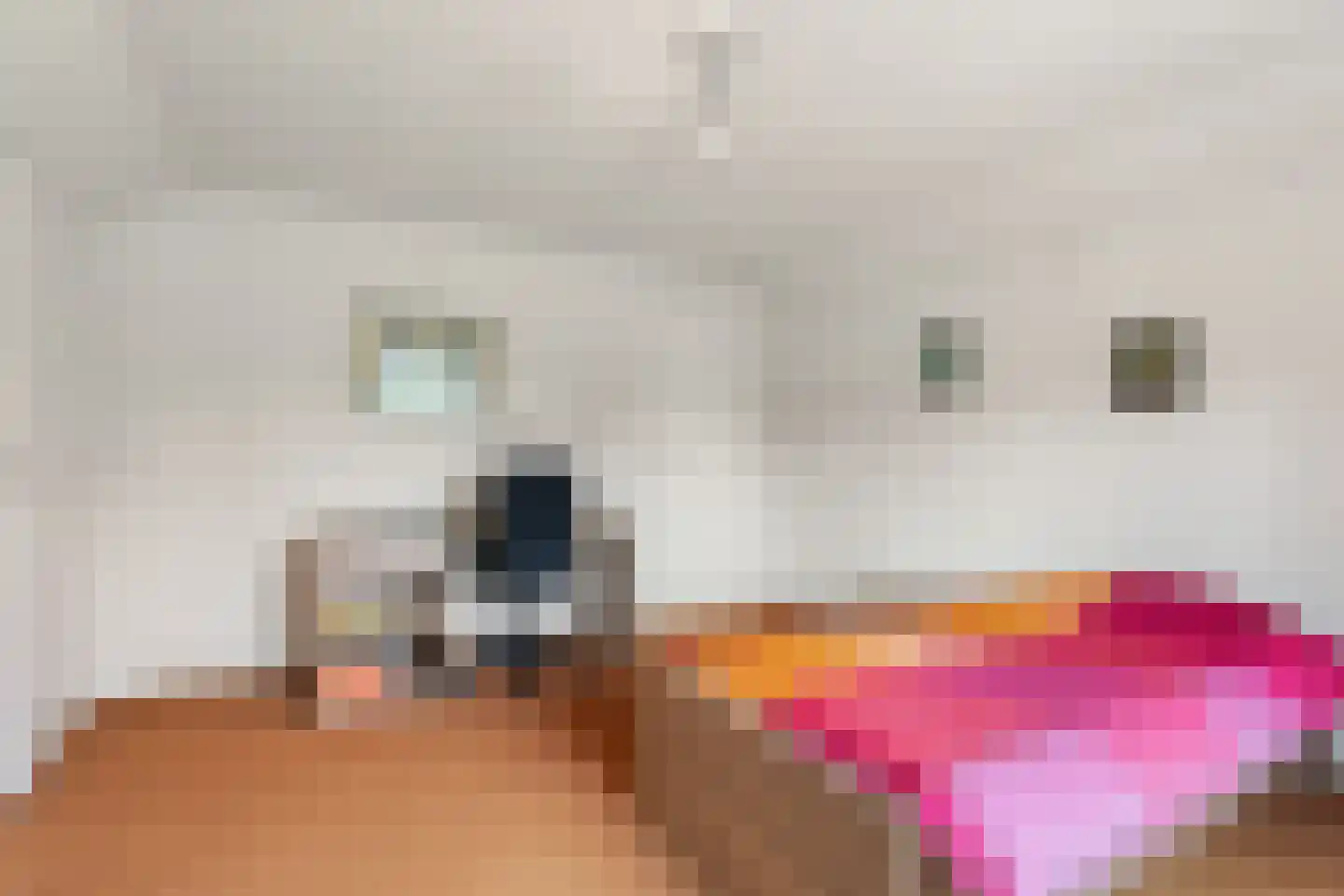 Plaksestraat 5 a Duiven thumbnail 47