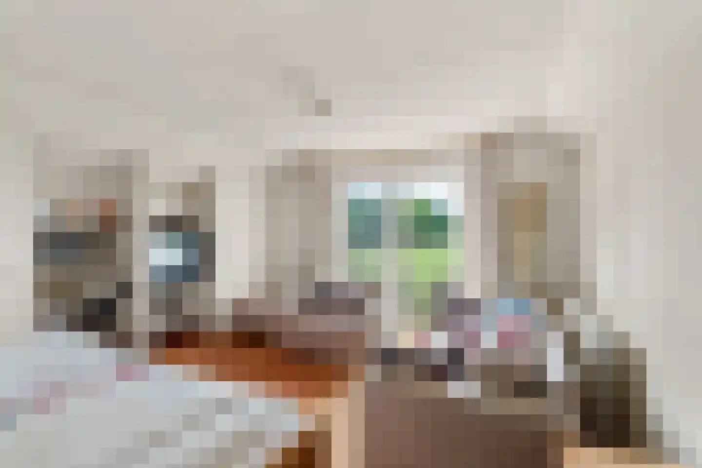 Plaksestraat 5 a Duiven thumbnail 48