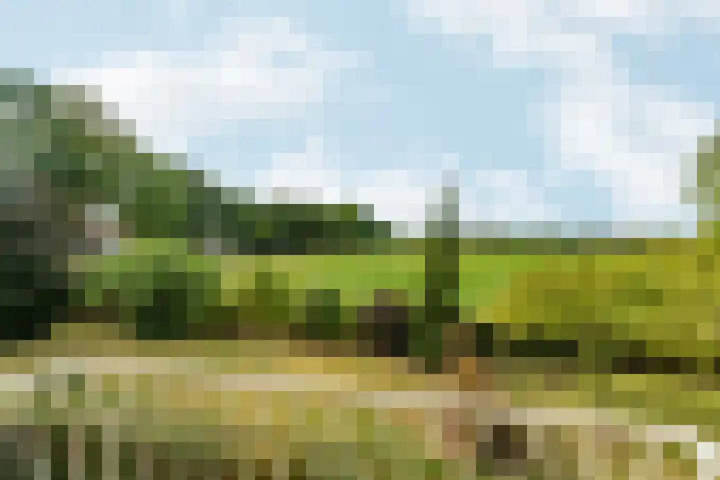 Plaksestraat 5 a Duiven thumbnail 49