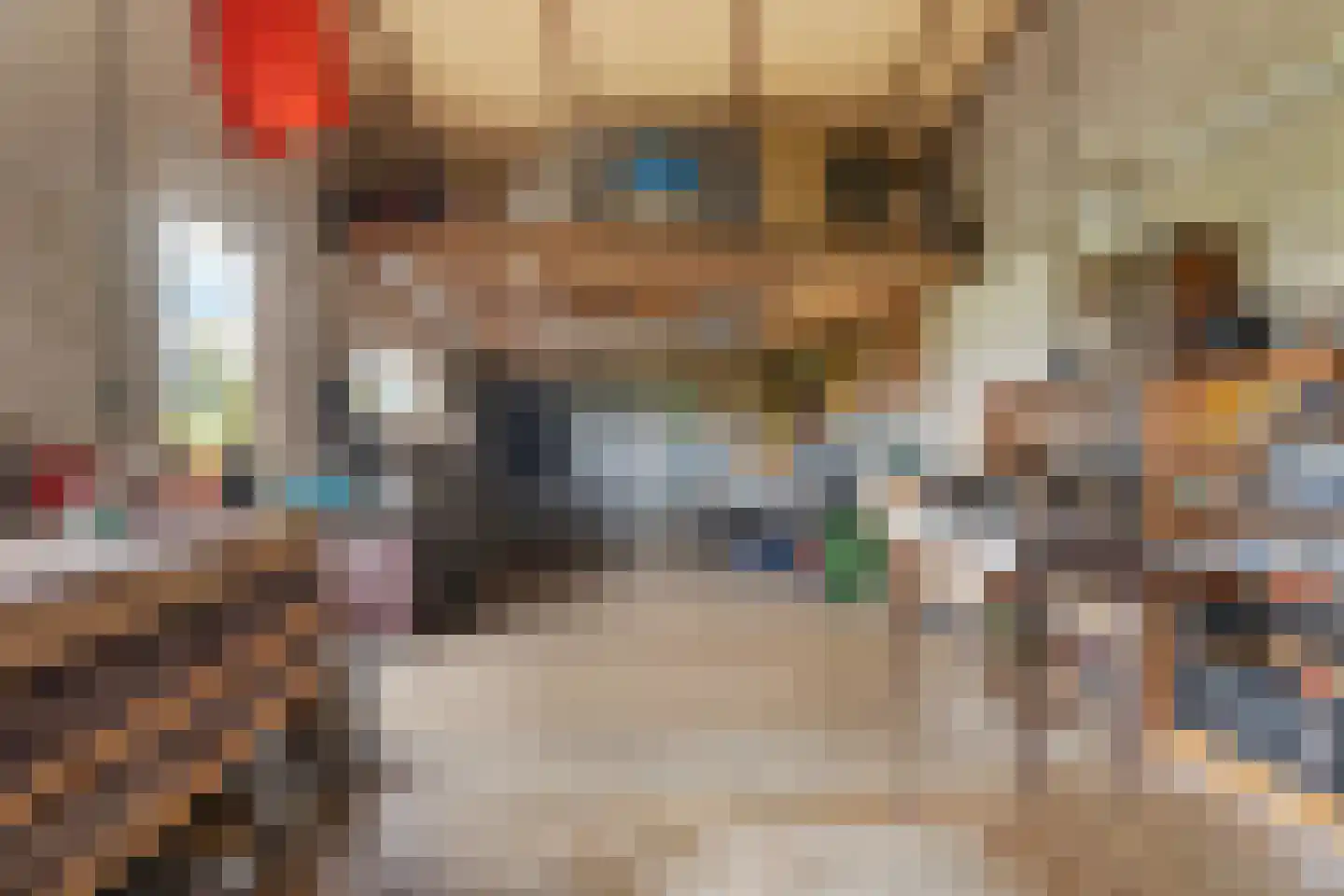 Plaksestraat 5 a Duiven thumbnail 59
