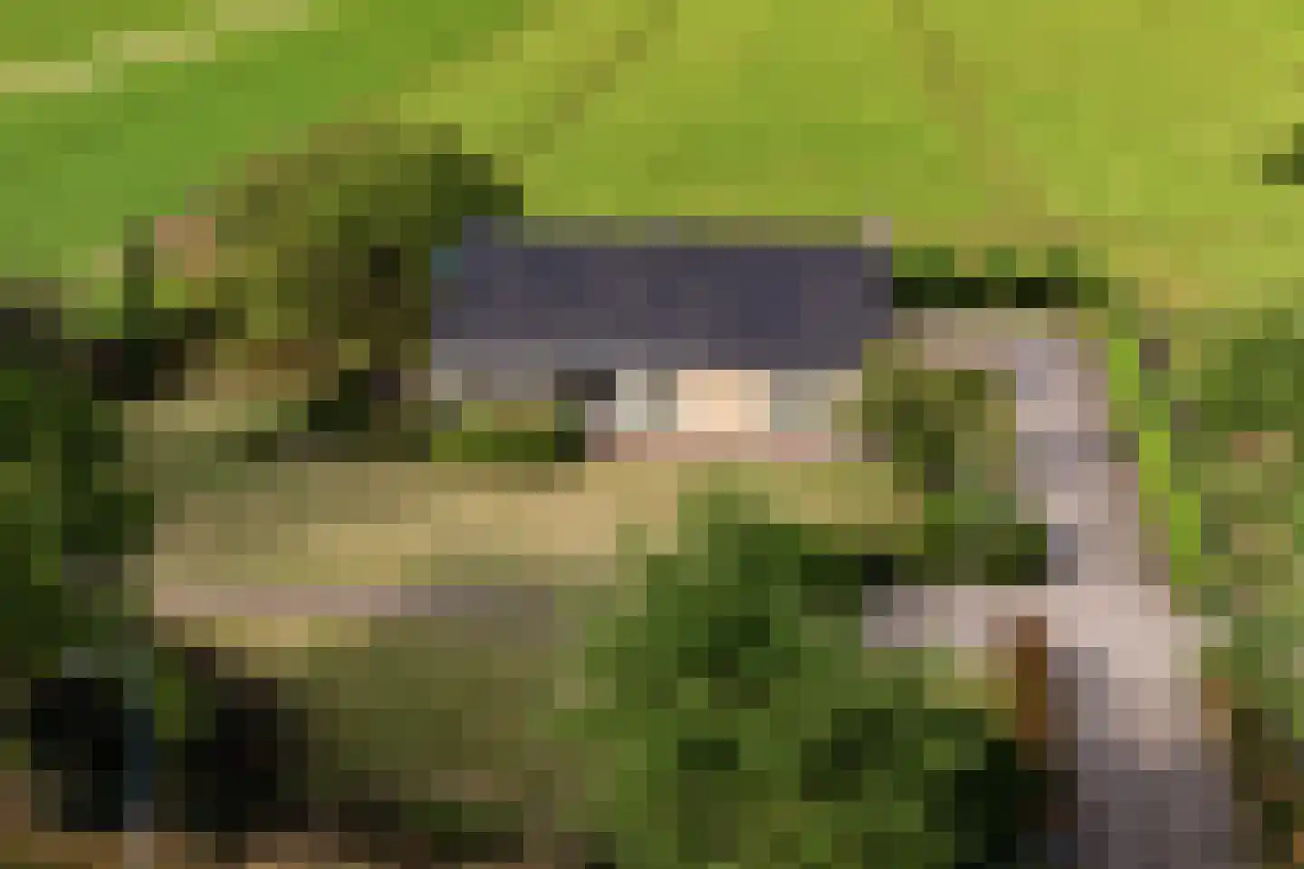 Plaksestraat 5 a Duiven thumbnail 64