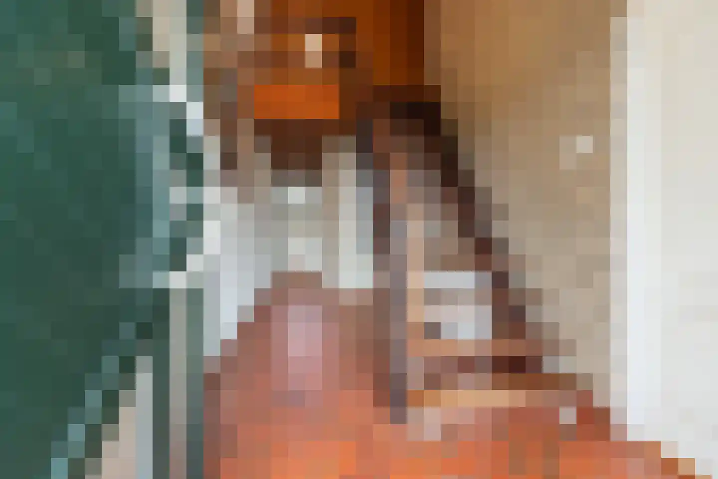 Plaksestraat 5 a Duiven thumbnail 7