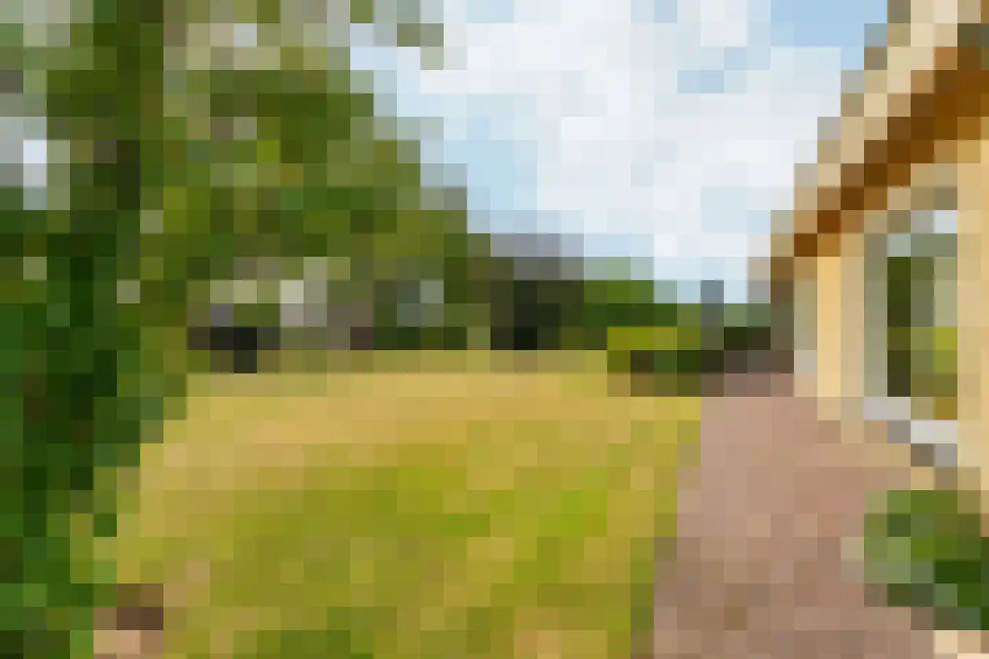 Plaksestraat 5 a Duiven thumbnail 70