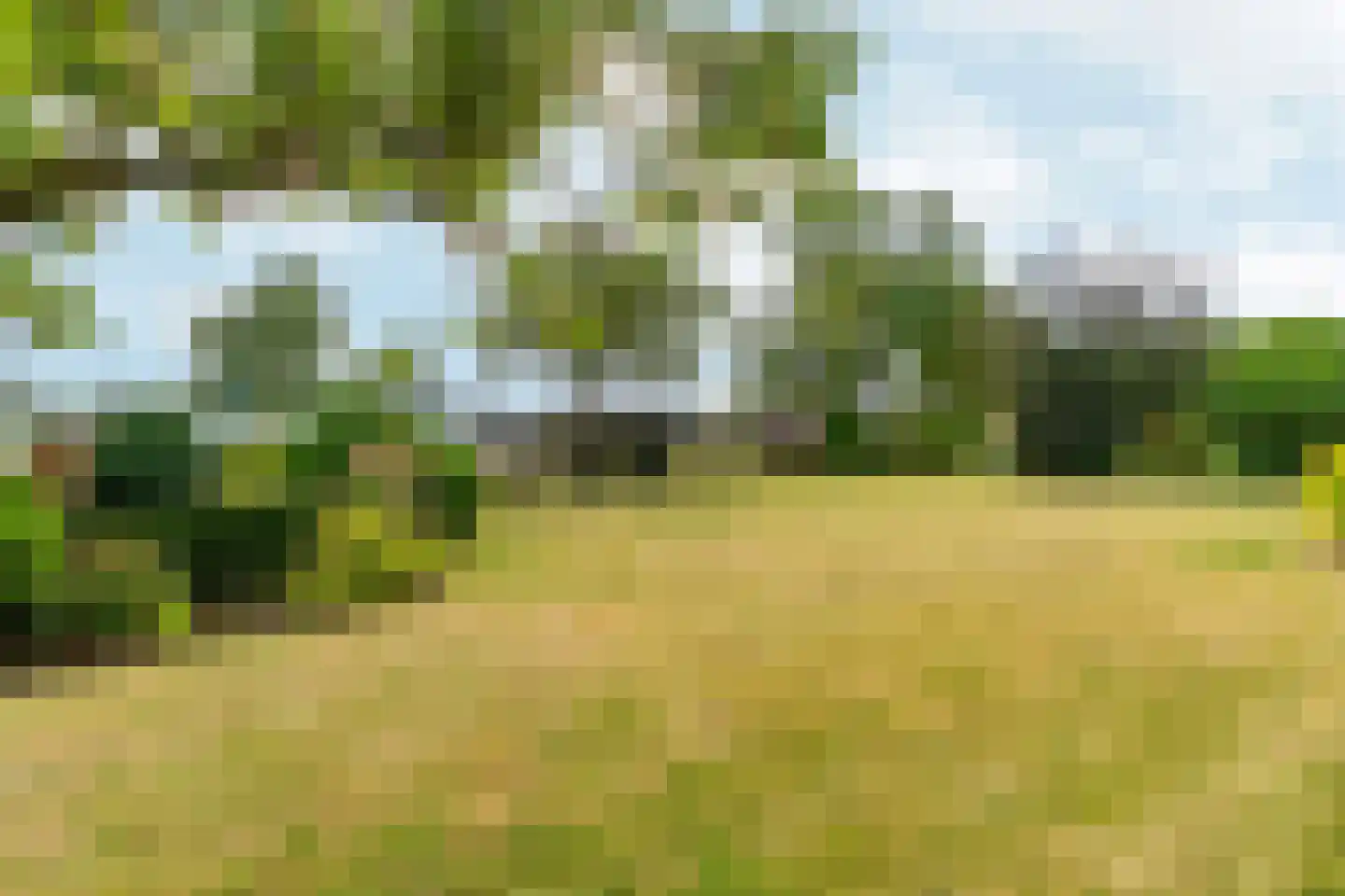 Plaksestraat 5 a Duiven thumbnail 72