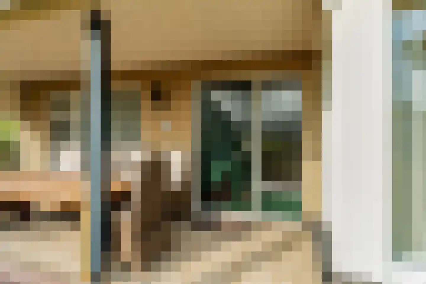 Plaksestraat 5 a Duiven thumbnail 73