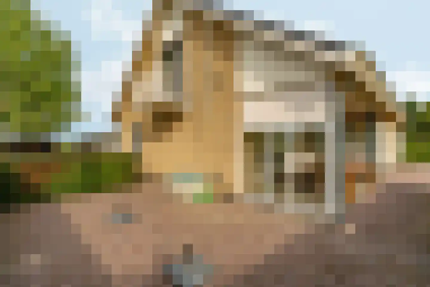 Plaksestraat 5 a Duiven thumbnail 76