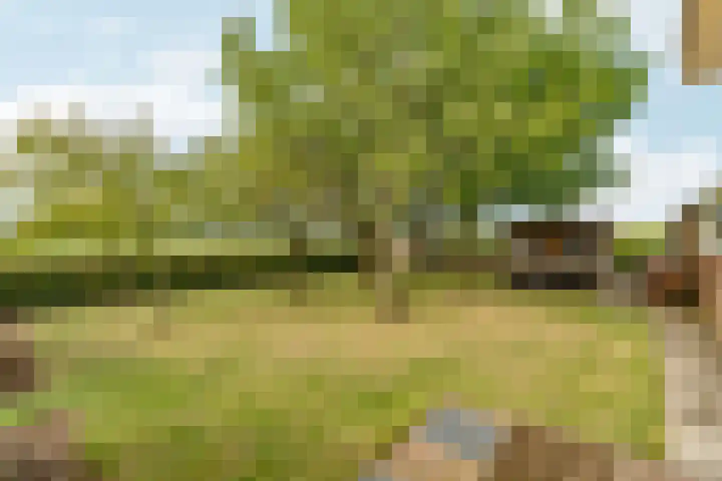 Plaksestraat 5 a Duiven thumbnail 77