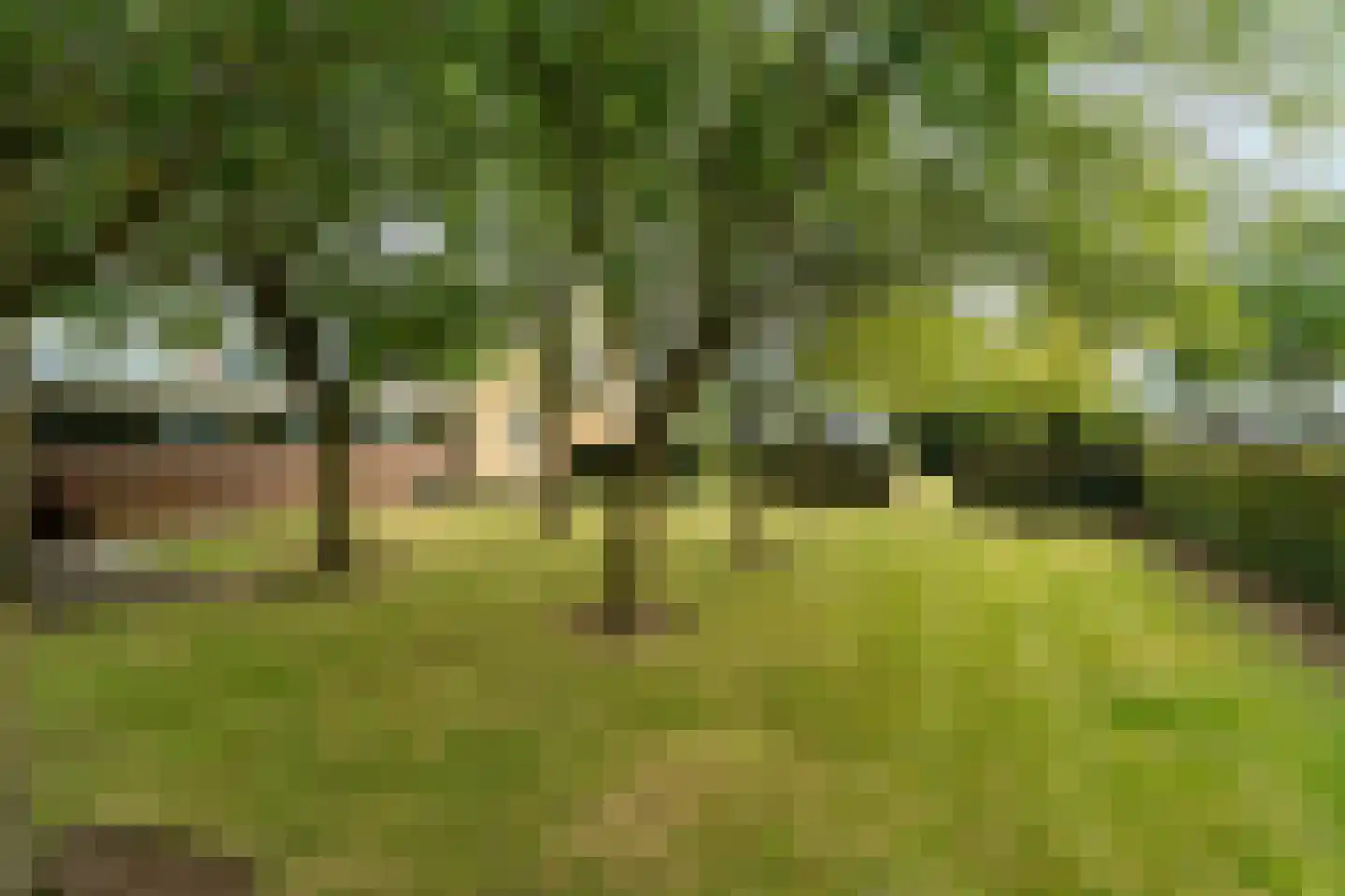 Plaksestraat 5 a Duiven thumbnail 79