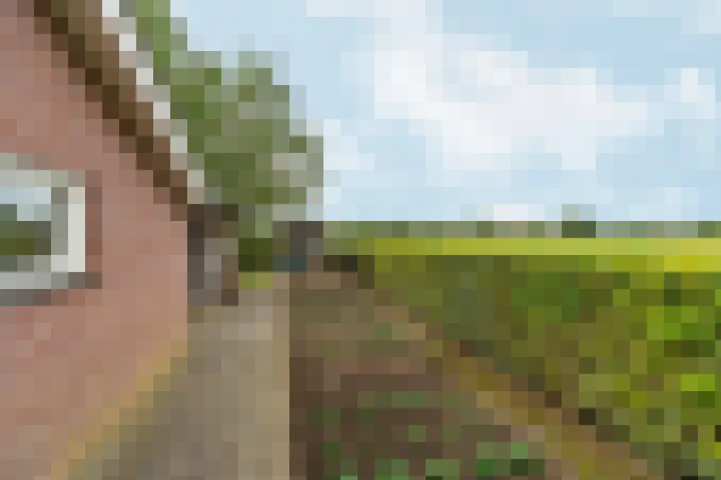Plaksestraat 5 a Duiven thumbnail 82