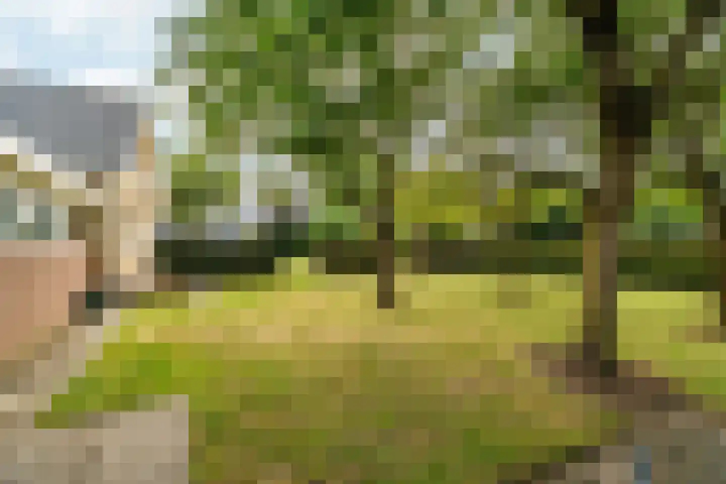 Plaksestraat 5 a Duiven thumbnail 83
