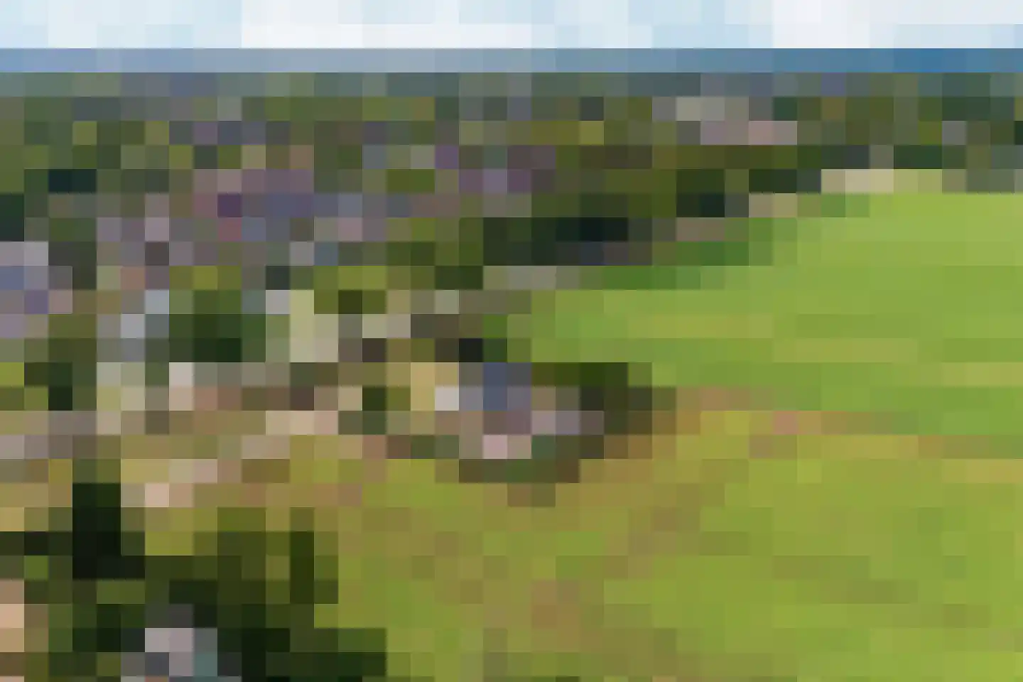 Plaksestraat 5 a Duiven thumbnail 87
