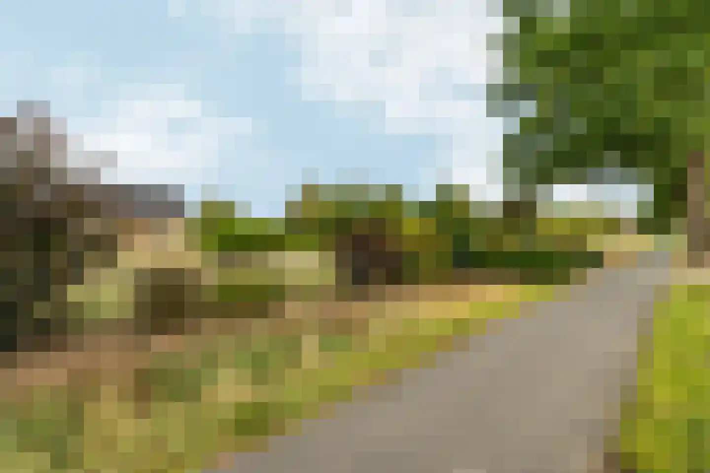 Plaksestraat 5 a Duiven thumbnail 88