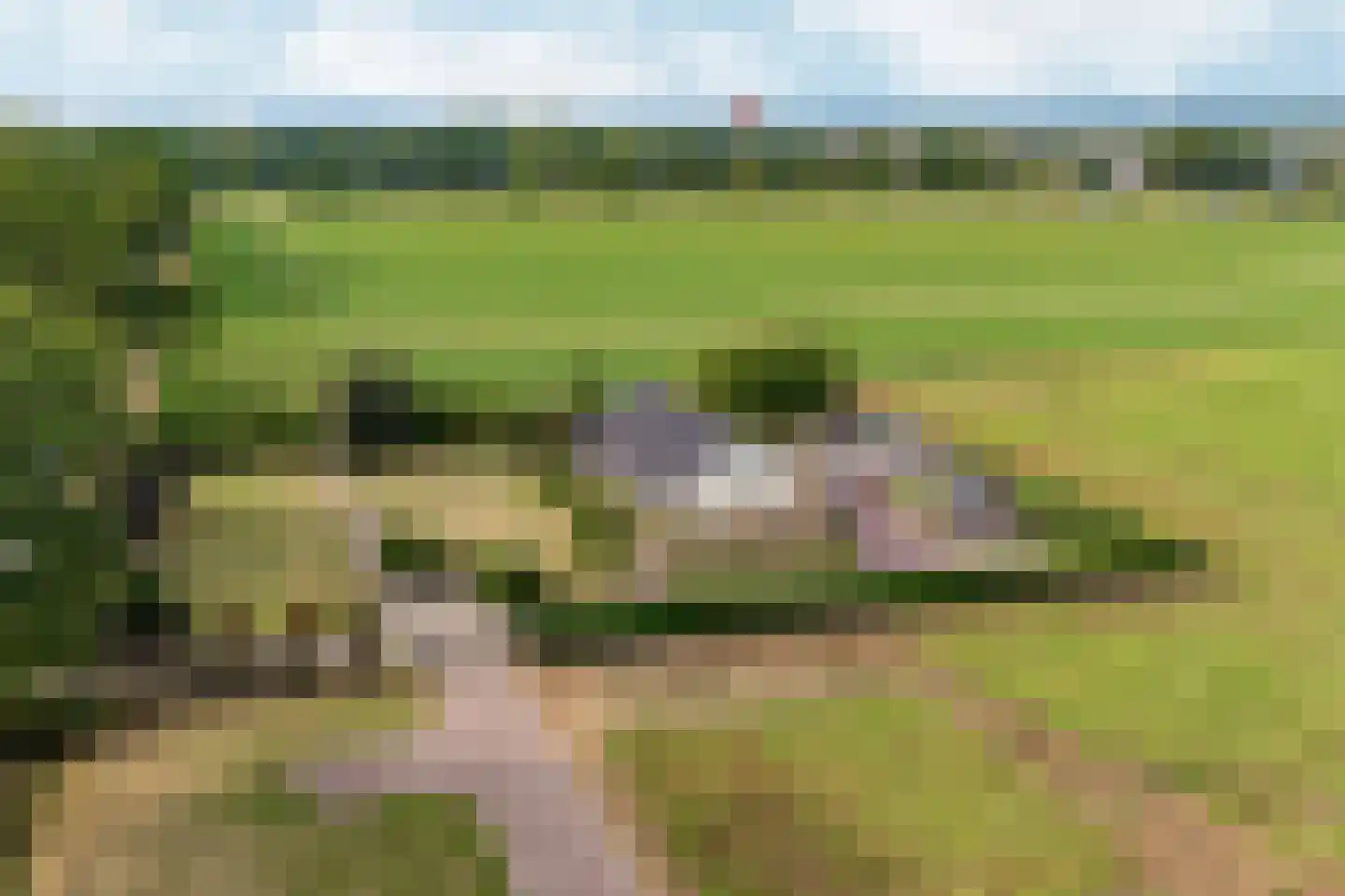 Plaksestraat 5 a Duiven thumbnail 91