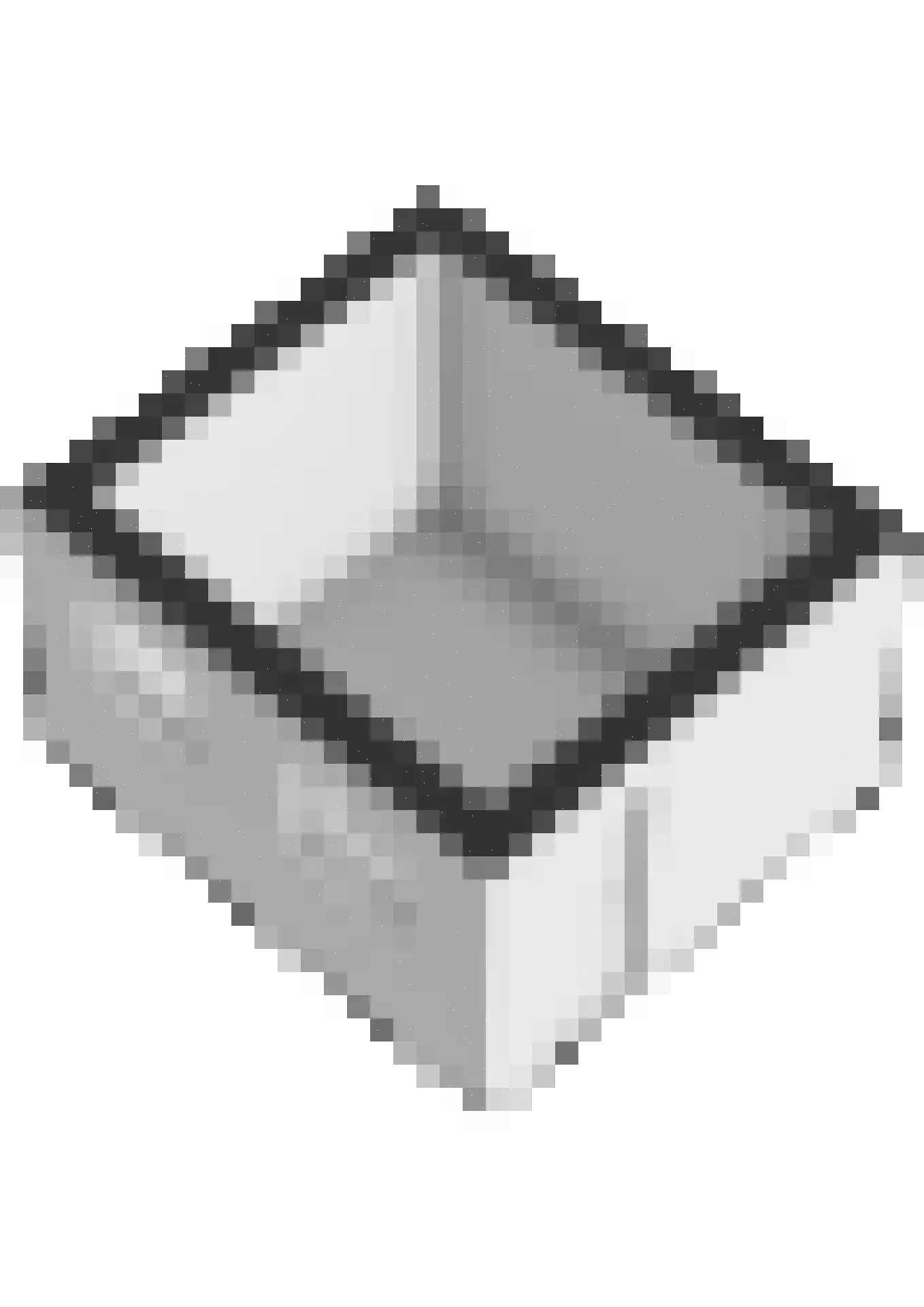 Plaksestraat 5 a Duiven thumbnail 97