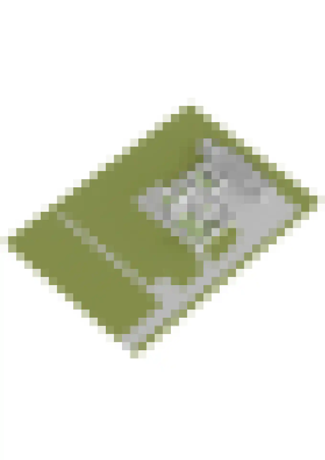 Plaksestraat 5 a Duiven thumbnail 99