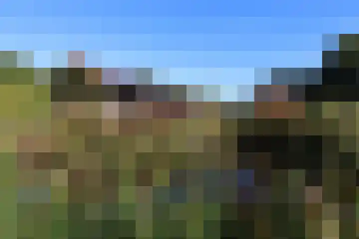 Plakseweg 29 Groesbeek thumbnail 14