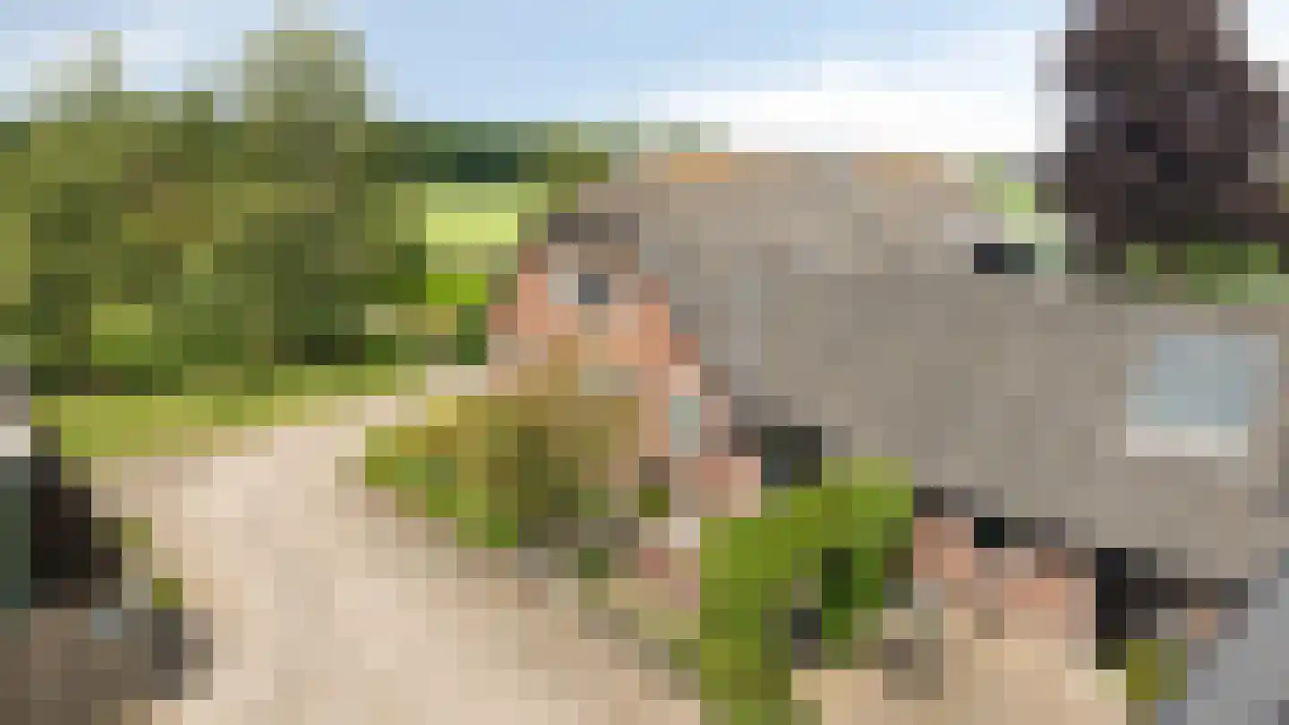 Plakslagseweg 1 A Wehl thumbnail 10
