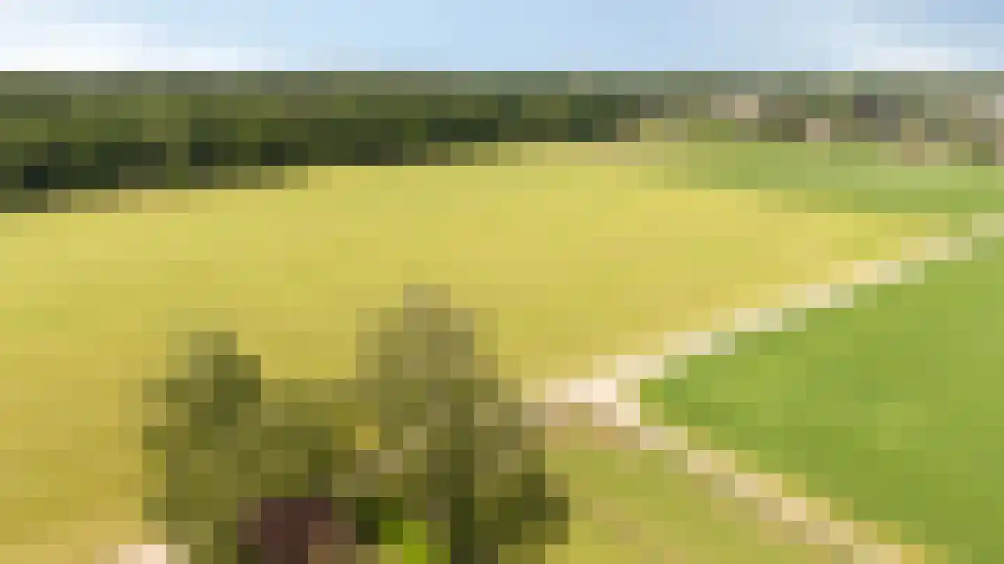 Plakslagseweg 1 A Wehl thumbnail 11