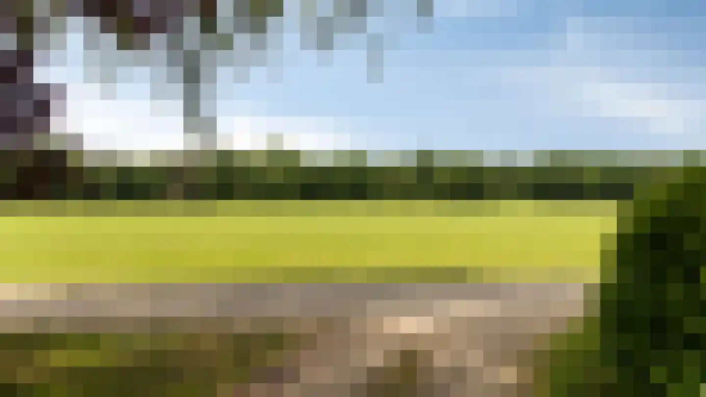 Plakslagseweg 1 A Wehl thumbnail 12