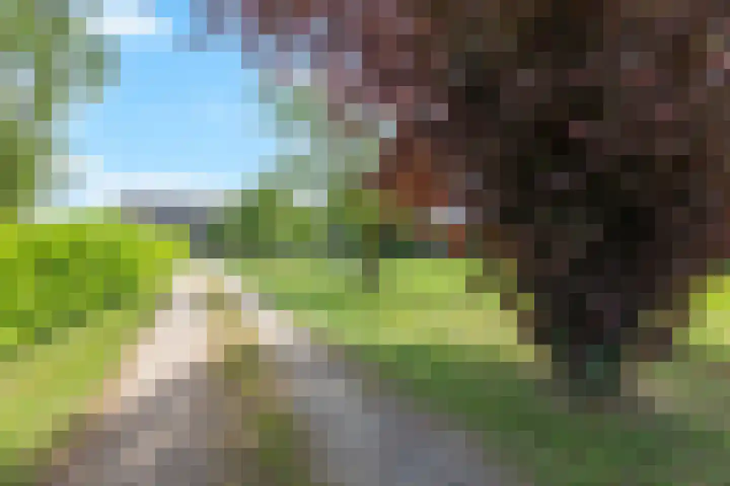 Plakslagseweg 1 A Wehl thumbnail 13