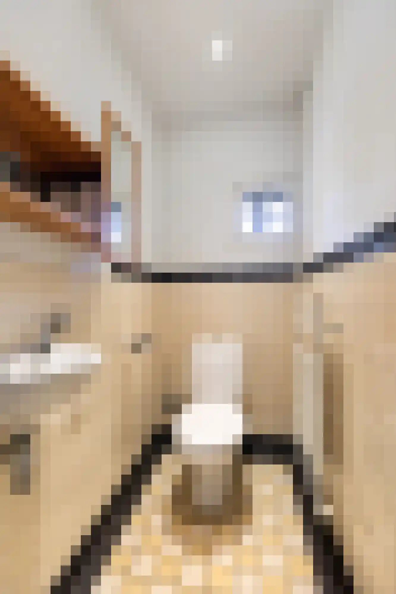 Plakslagseweg 1 A Wehl thumbnail 31