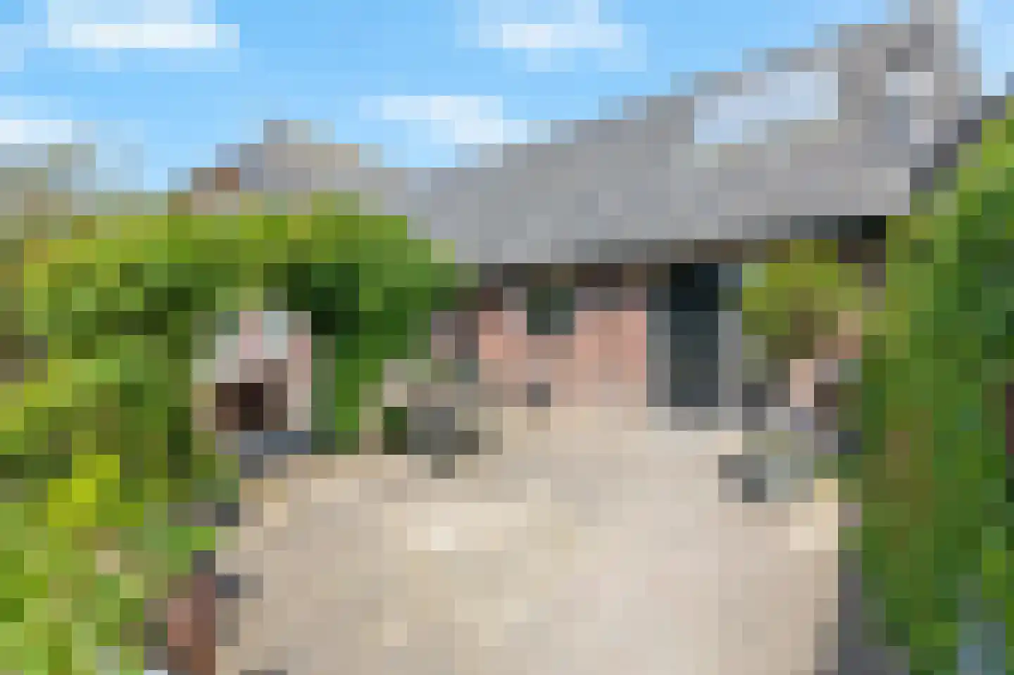 Plakslagseweg 1 A Wehl thumbnail 38