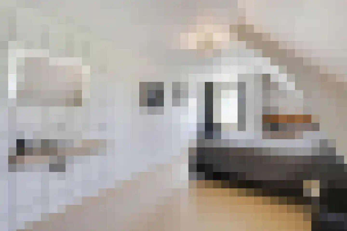 Plakslagseweg 1 A Wehl thumbnail 45