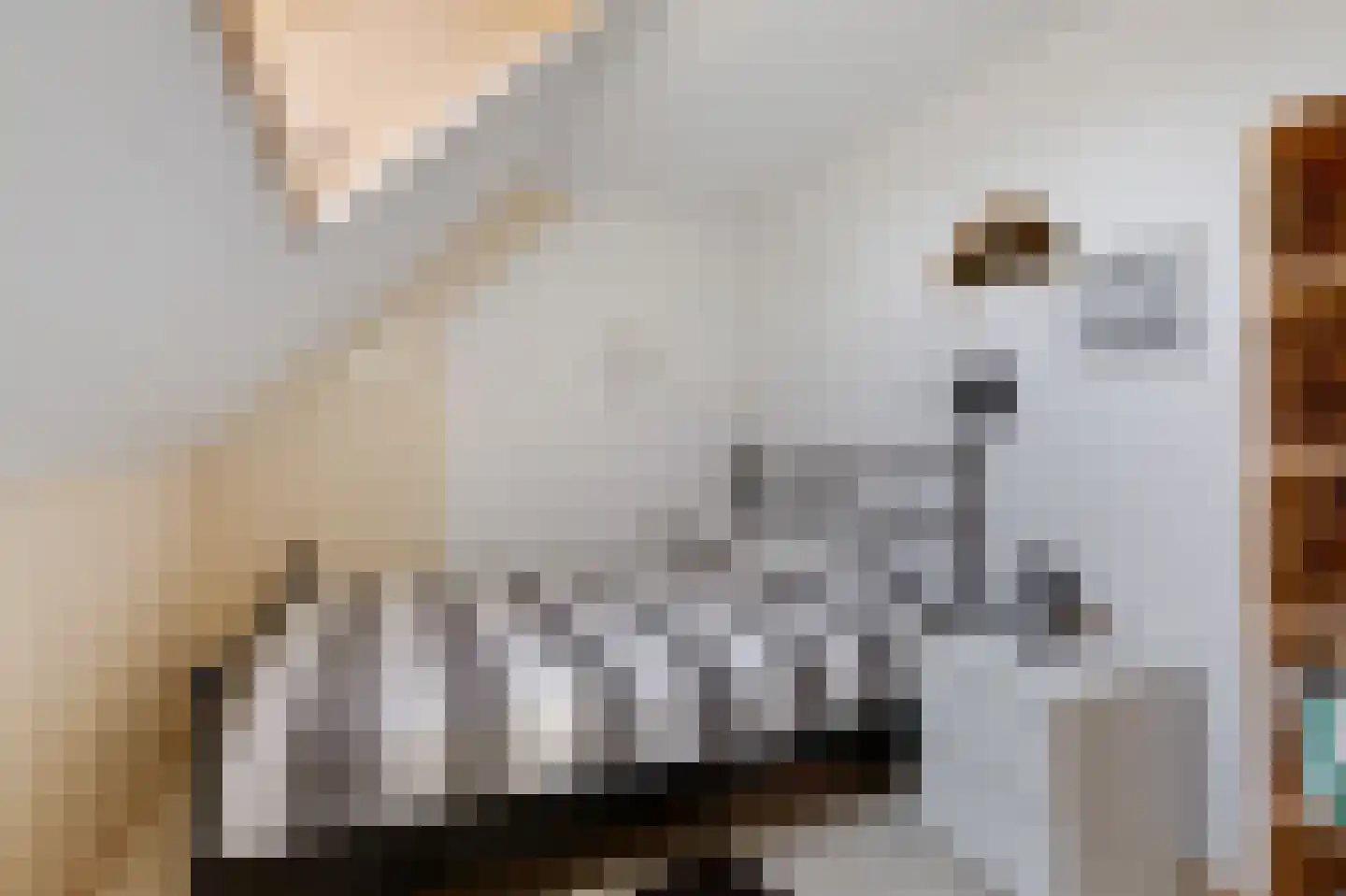Plakslagseweg 1 A Wehl thumbnail 48