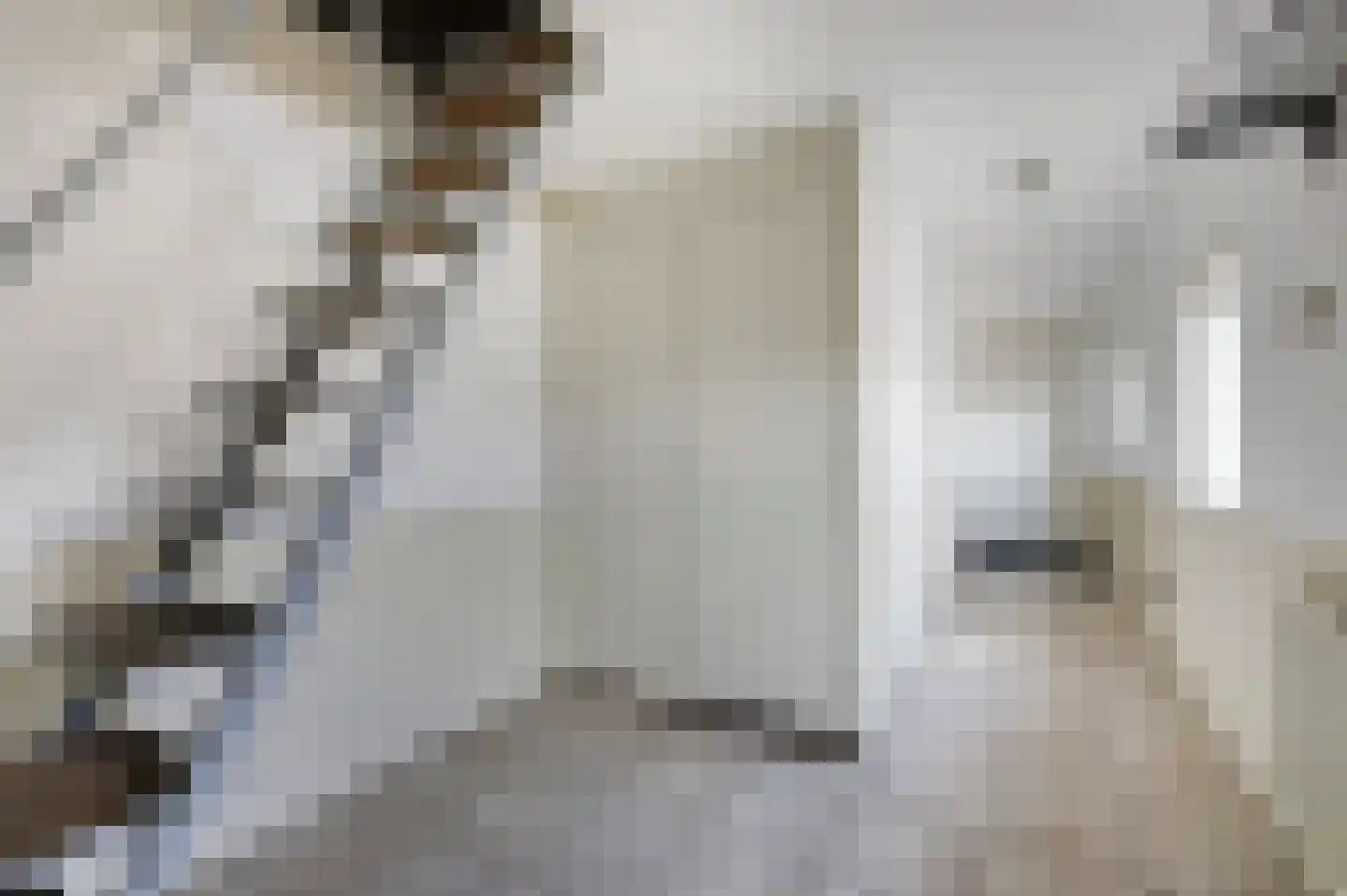 Plakslagseweg 1 A Wehl thumbnail 58