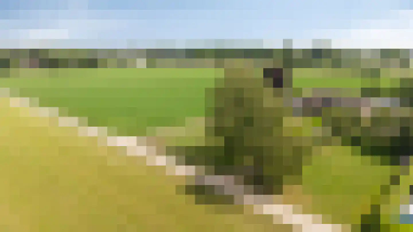 Plakslagseweg 1 A Wehl thumbnail 9