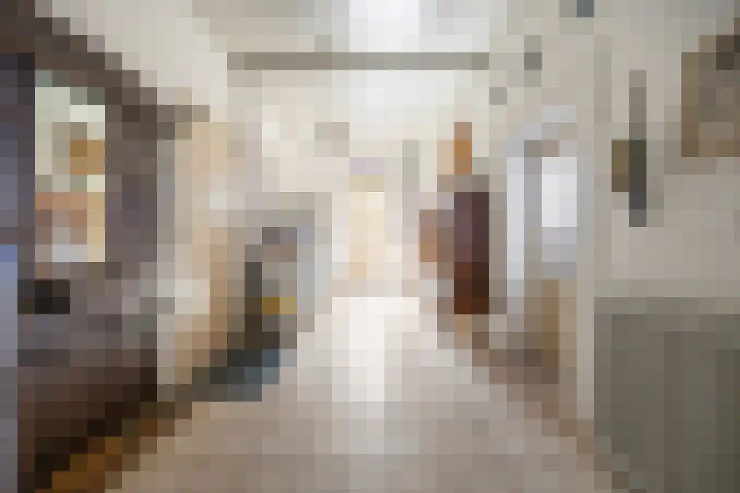 Plakstraat 7 Winssen thumbnail 16