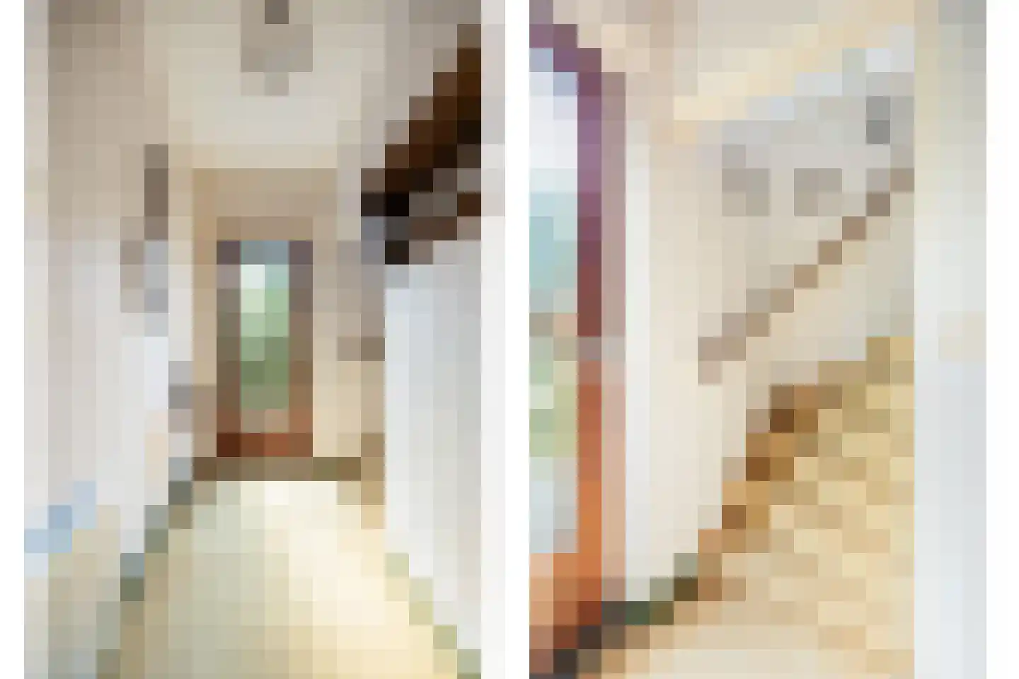 Plakstraat 7 Winssen thumbnail 22