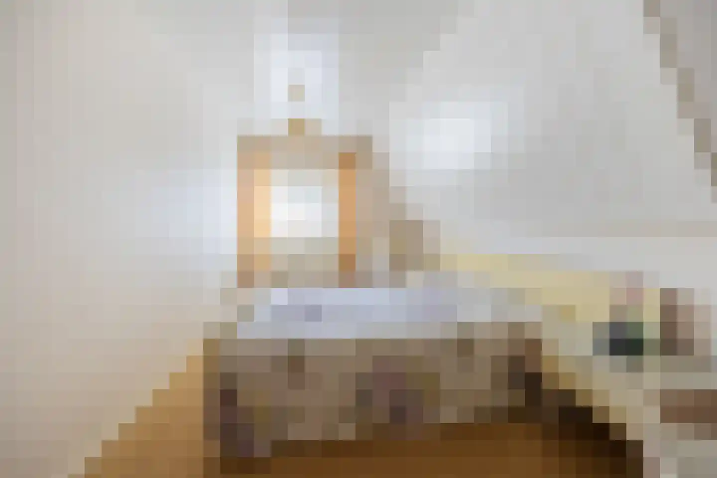 Plakstraat 7 Winssen thumbnail 25