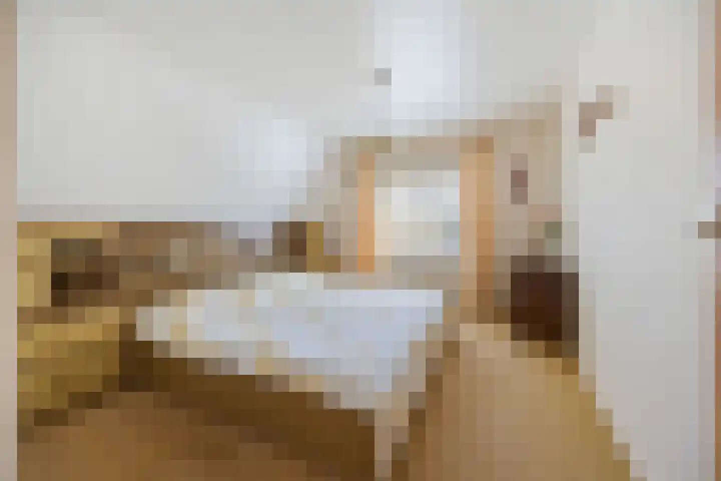 Plakstraat 7 Winssen thumbnail 27