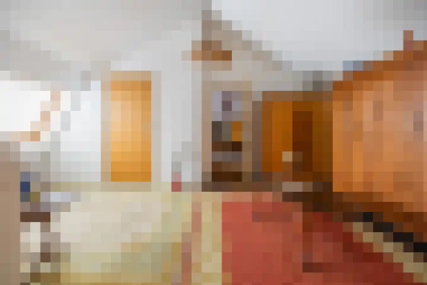 Plakstraat 7 Winssen thumbnail 30