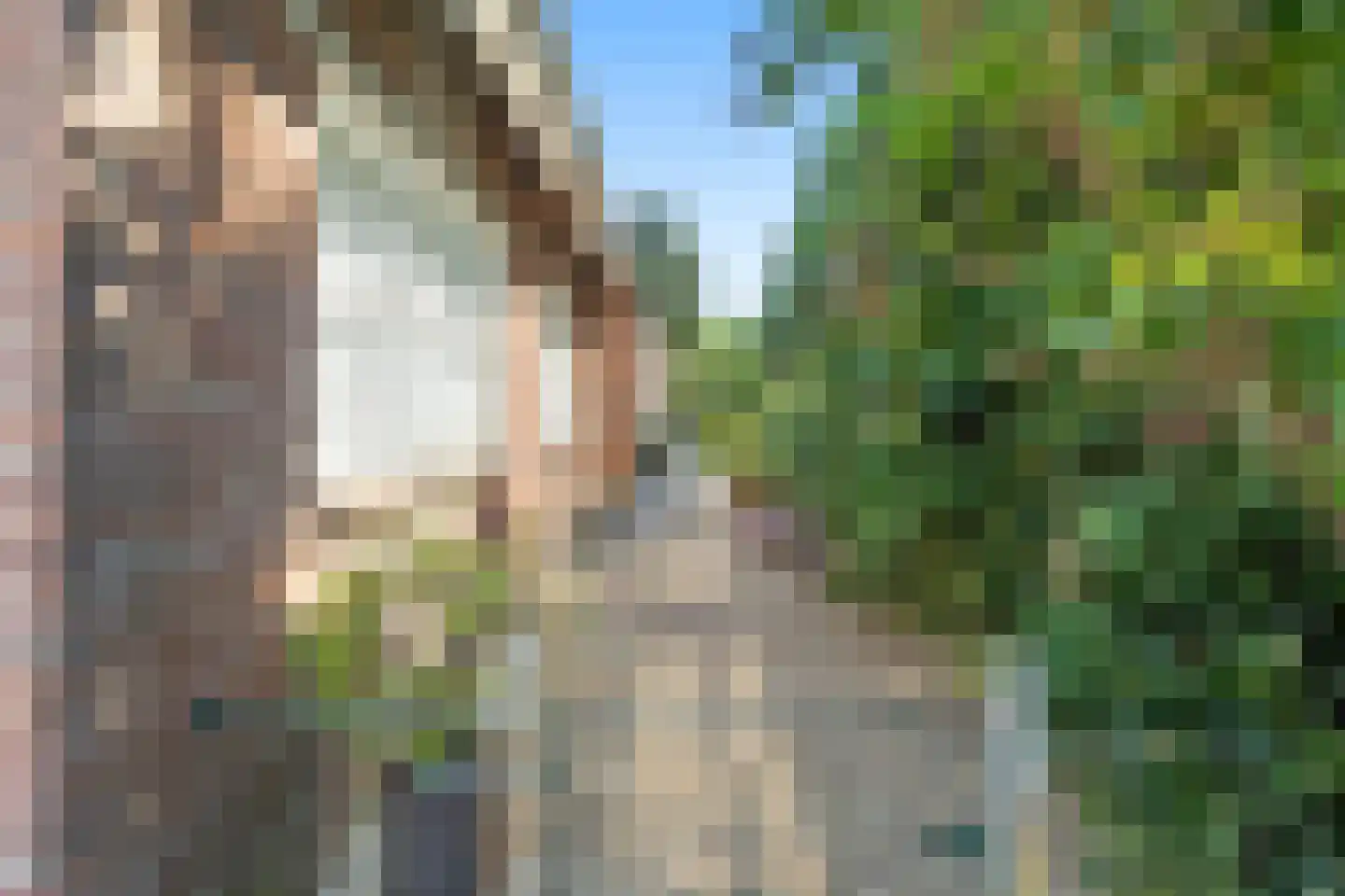 Plakstraat 7 Winssen thumbnail 41
