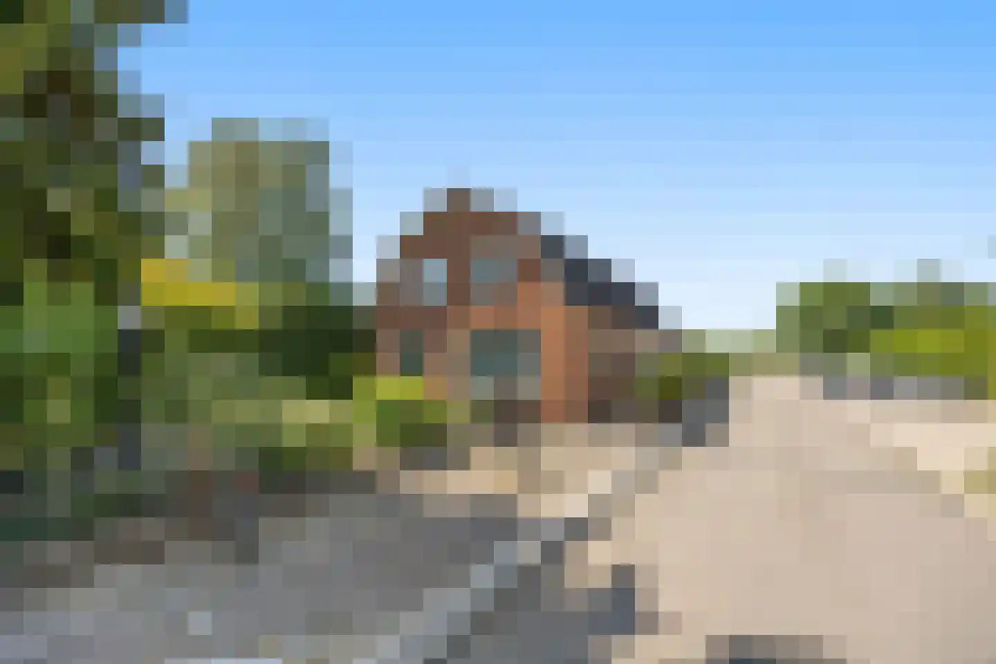 Plakstraat 7 Winssen thumbnail 45