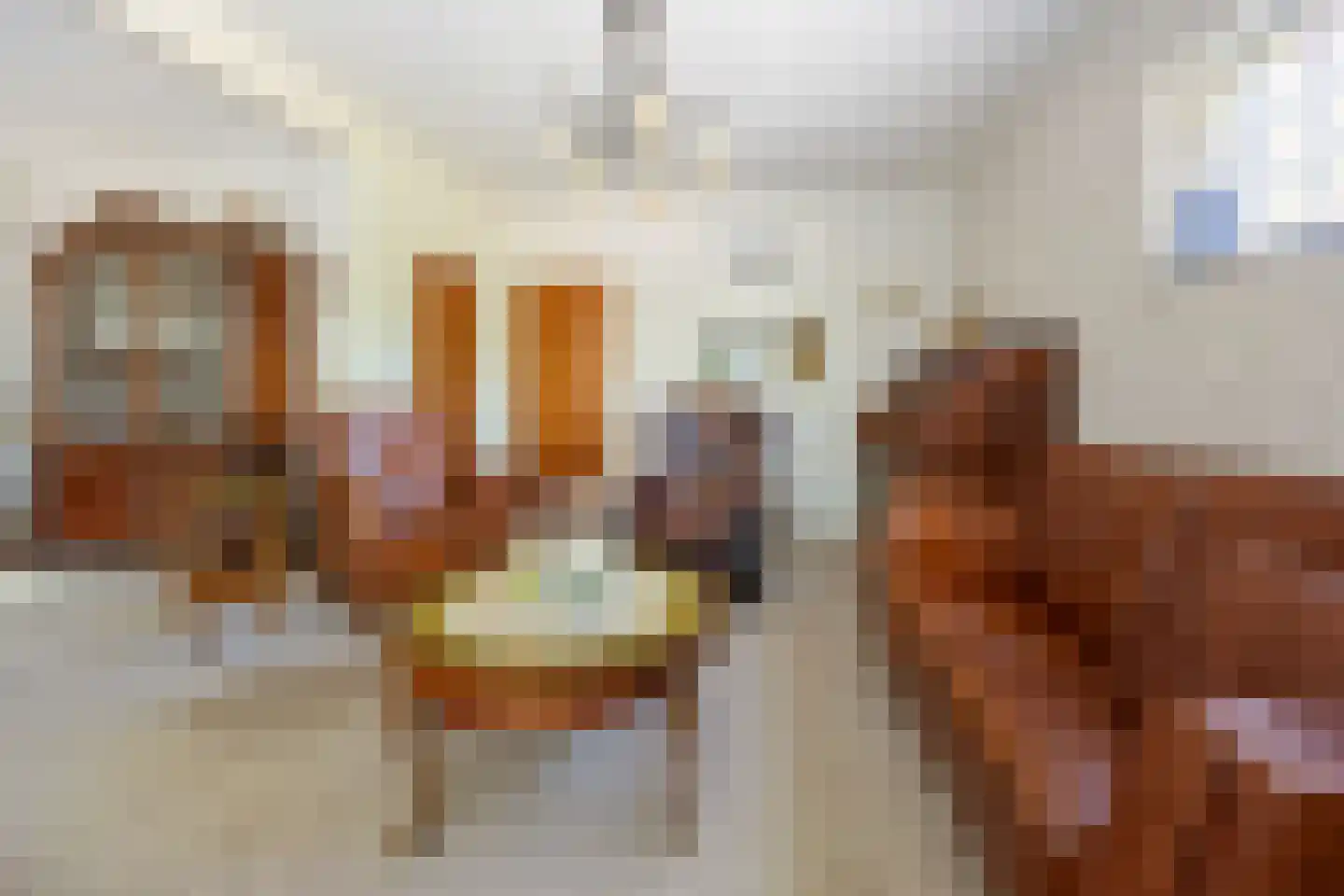 Plakstraat 7 Winssen thumbnail 9