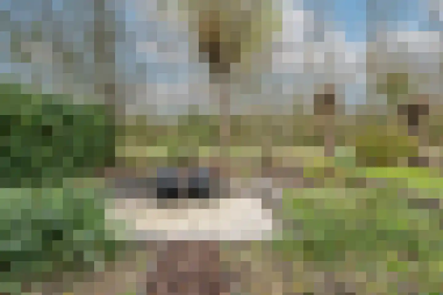 Plan Herkingen West 11 Herkingen thumbnail 20