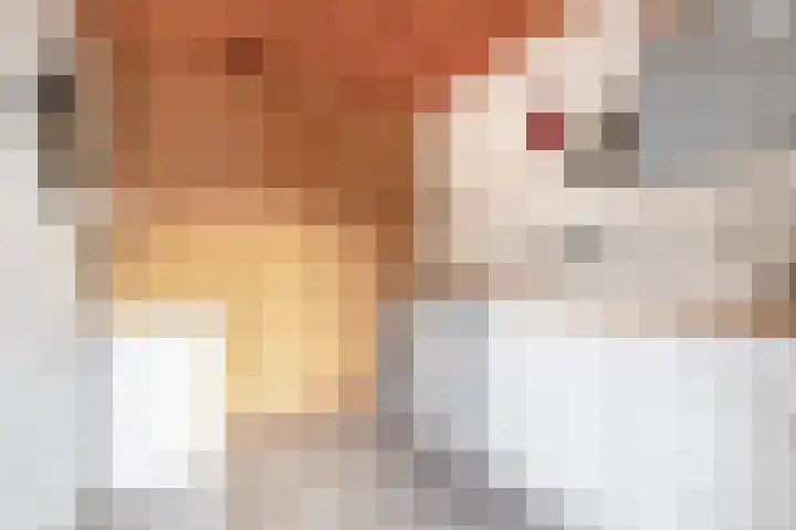 Plan Herkingen West 4 Herkingen thumbnail 30