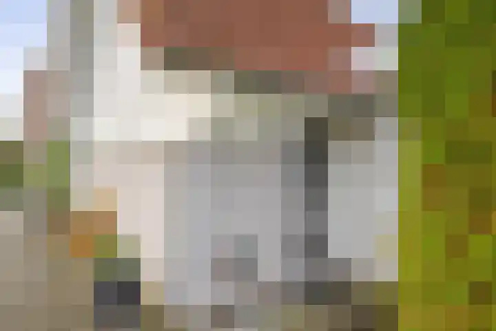 Plan Herkingen West 4 Herkingen thumbnail 7