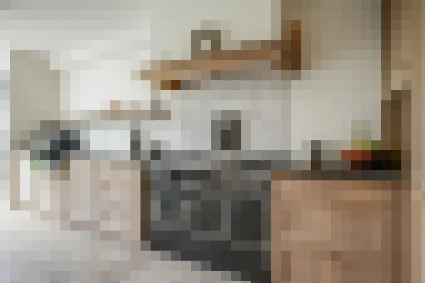 Planciusdreef 23 Bergschenhoek thumbnail 15