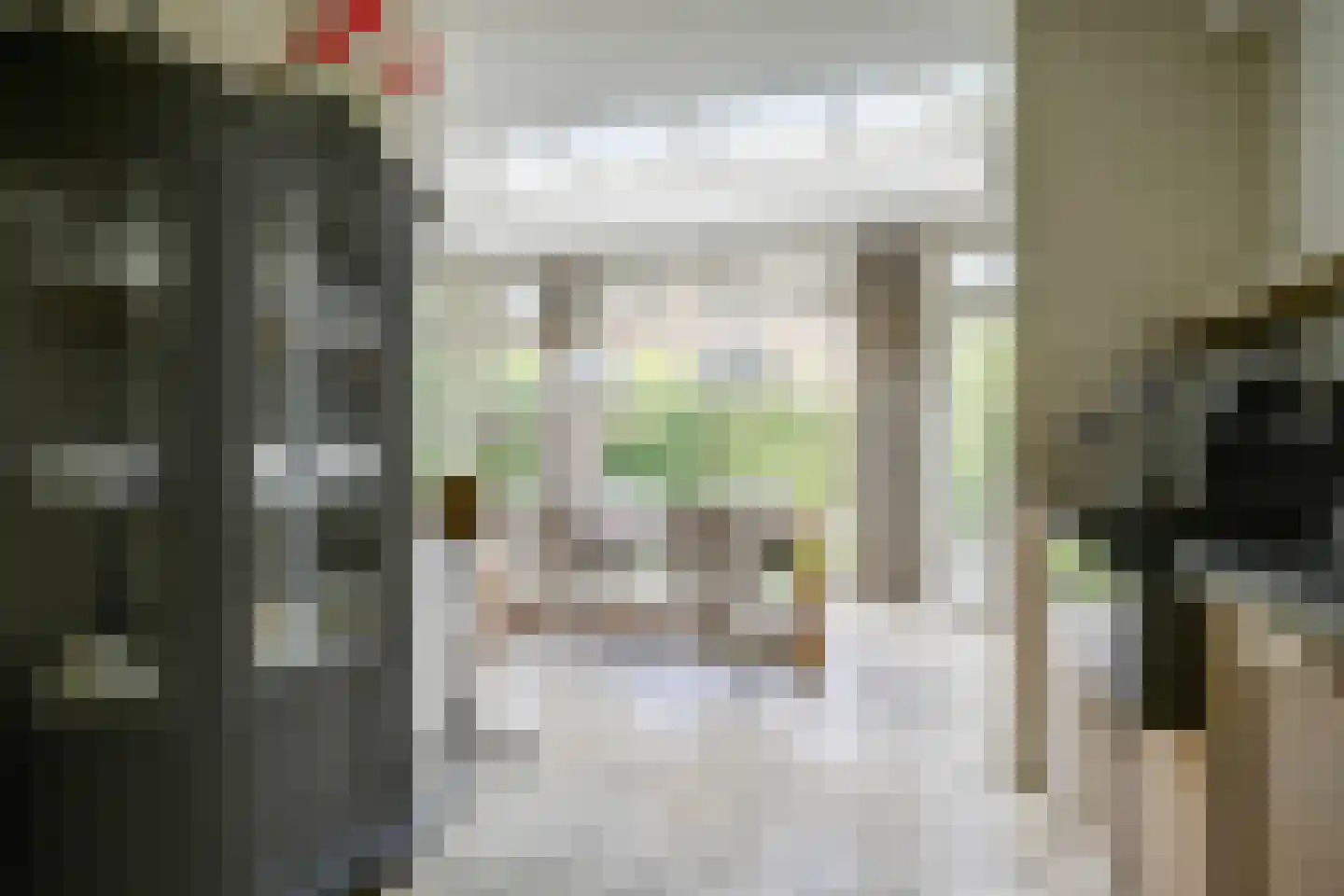 Planciusdreef 23 Bergschenhoek thumbnail 19