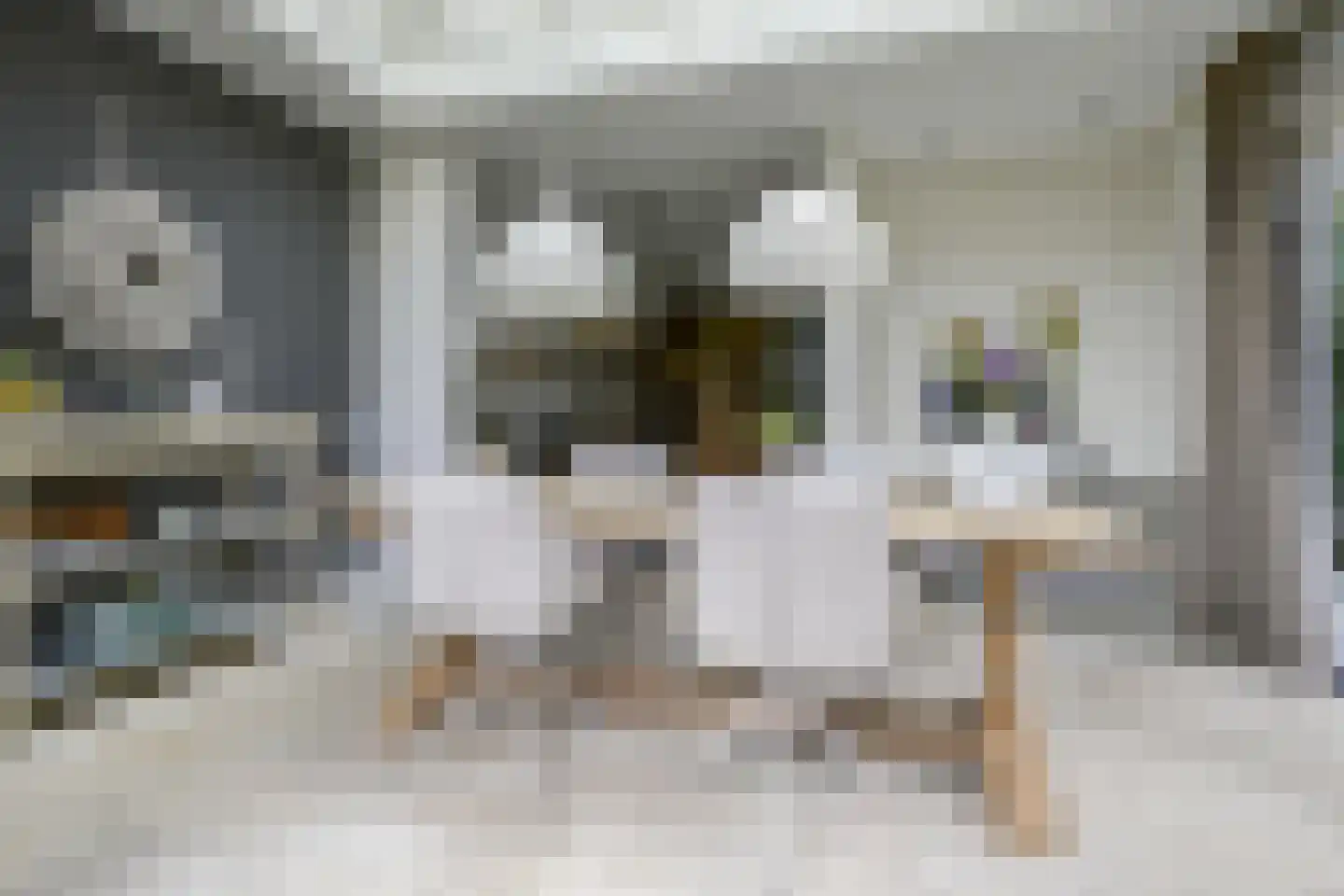 Planciusdreef 23 Bergschenhoek thumbnail 20