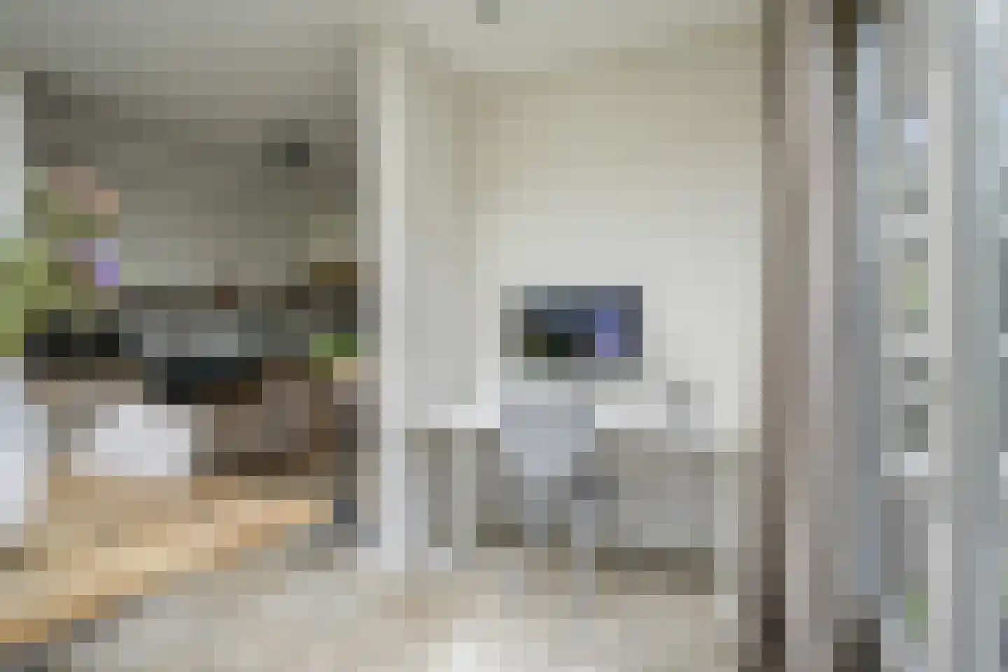Planciusdreef 23 Bergschenhoek thumbnail 22